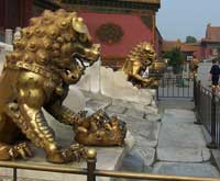 Dragon in the Forbidden City